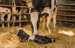 Genetics Consolidated haalt nieuwe investeerders aan boord