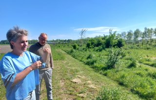 Flevolandse ondernemers bouwen aan weerbaar landbouwsysteem
