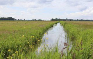 Wetterskip Fryslân wil totaalverbod op PFAS: ‘De kraan moet dicht’