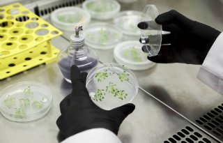 Europees Parlement akkoord met nieuwe NGT-verordening