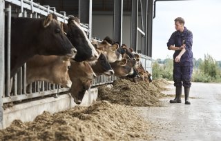 WTTA: wat betekent de nieuwe wet voor agrarische ondernemers die werken met uitzendkrachten?