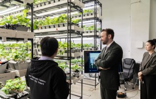 Kabinet zet met innovatieagenda in op AI, weerbare teelten en nieuwe eiwitten