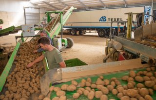 Fritesindustrie schakelt voorzichtig een tandje bij