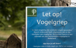 Australië bevestigt eerste geval van H5N1-vogelgriep
