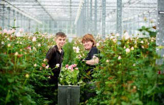 ‘Mannen zijn echt een verstoring op de bloemenmarkt’