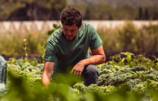 Future Harvest: nieuw Europees programma stimuleert de nieuwe generatie boeren in Nederland