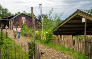 Jonge ondernemers willen consument, voedsel en natuur verbinden