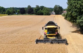 Noodrijpe wintergerst brengt 6 ton per hectare op