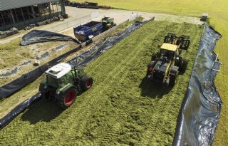Eerste snede lijkt meer op krachtvoer dan op ruwvoer