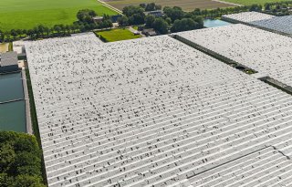 Kassen in Ens zwaar getroffen door hagel