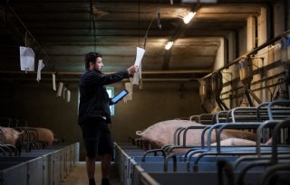 ‘Ik wilde het afbigpercentage boven de 90 procent krijgen en dat lukt nu’