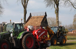 Areaal consumptieaardappelen daalt met ruim 15 procent