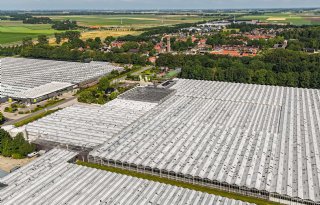 Verzekeraars zien meeste schademeldingen in Flevoland en oosten
