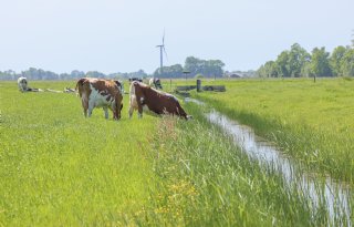 Meer zoet water richting westen moet verzilting tegengaan