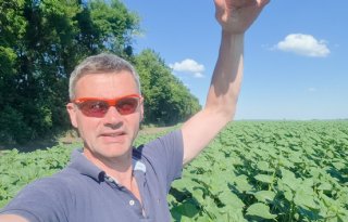 Oekraïne-vlogger Kees Huizinga: ‘De zonnebloemen komen al tot aan mijn middel’