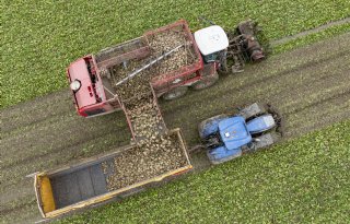 Producenten proberen controle te krijgen over suikermarkt