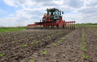 ‘Boerderij Ommeland uitbouwen tot stapsteen tussen landbouw en stad’