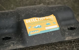 Ondanks voorschriften nog veel doorvergiftiging rattengif op andere dieren