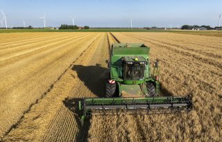 Wintergerst kwalitatief goed, stroprijzen lopen uiteen