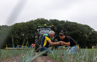 ‘In de bestrijding van trips hangt alles met elkaar samen’