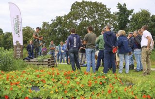 Pijlers regeneratieve landbouw staan, nu de praktische invulling nog