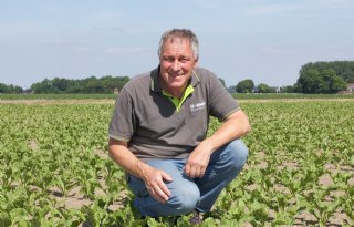 Vroege gewasontwikkeling vraagt om andere blik op cercospora