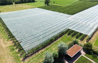 Gemeente Overbetuwe wil regels hagelnetten versoepelen