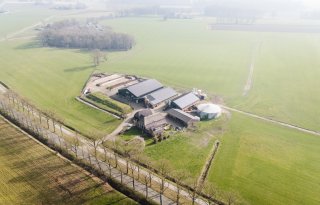 Hoge grondprijzen zetten melkveehouderij onder druk