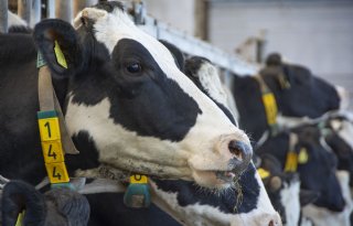 Duitse melkprijs krabbelt in mei verder op