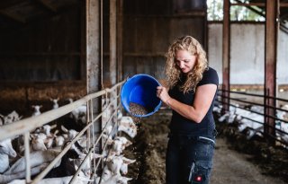 ‘Erken de rol van vrouwen in de landbouw’