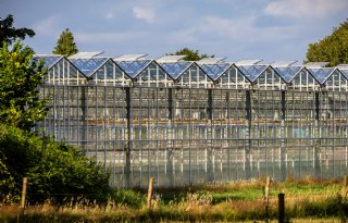 Glastuinbouw moet zich weerbaar maken tegen crisissituaties