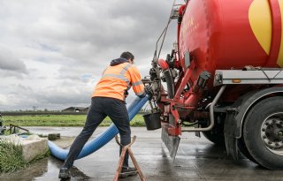 Duitsland neemt fors meer Nederlandse mest af