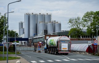 FrieslandCampina ziet melkaanvoer met 18,5 procent stijgen