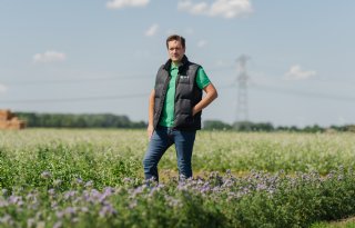 Stel je hoofdteelt centraal bij de keuze voor je groenbemester