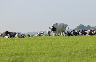 Zelfs koplopers halen nieuwe kabinetsdoelen nog niet