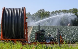 Milieugroep wil direct verbod op grondwateronttrekkingen Berg en Dal