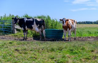 Boeren op Wieringen kiezen voor natuur en innovatie