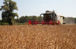 Achterhoekse koolzaadteler oogst rassenproef bij prachtig weer