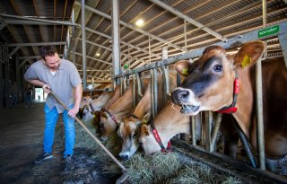 Boeren naast buren biedt Drentse broers ‘een mooie mix’