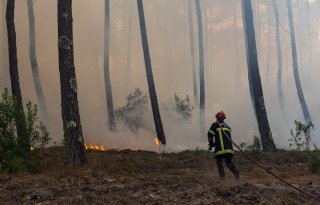 Boeren in Spanje en Frankrijk helpen bosbranden bestrijden