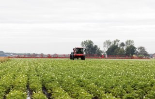 Aardappelteelt heeft alternatieven voor PFAS-middelen