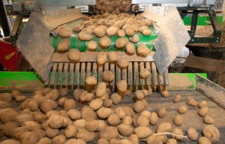 Ruim 20 euro voor eerste fritesaardappelen van oogst 2026