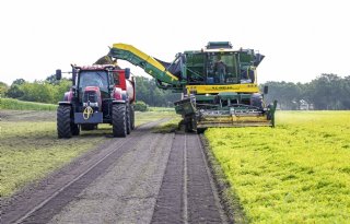 10 hectare Parijse worteltjes vlot gerooid en verwerkt