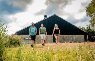 ‘Rendement van Krullvarkens komt van de overkant’