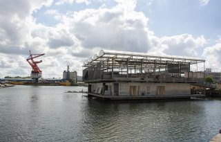 Koeien van enige drijvende boerderij ter wereld zijn te koop