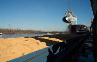 Grondstoffenmarkt voor diervoeders blijft grillig