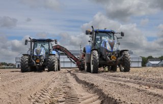 Zout water bedreigt bloembollen en groen