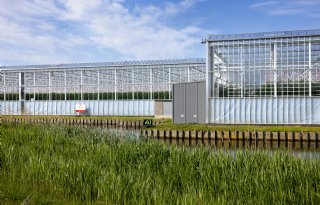 Glastuinbouw vraagt om uitzondering op onttrekkingsverbod Delfland