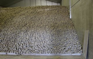Fritesnotering stijgt tot maximaal 25 euro