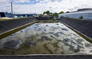 Hoogheemraadschap van Delfland maakt geen uitzondering van glastuinders. Ook die moeten zich houden aan het onttrekkingsverbod.